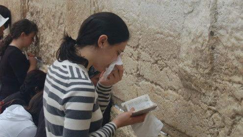 娱乐吃瓜君律师